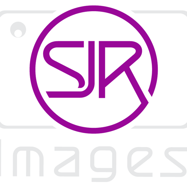 SJRIMAGES - Video production – professional film setup